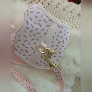 Pink & Gold Cat Harness & Leash (S) Like New